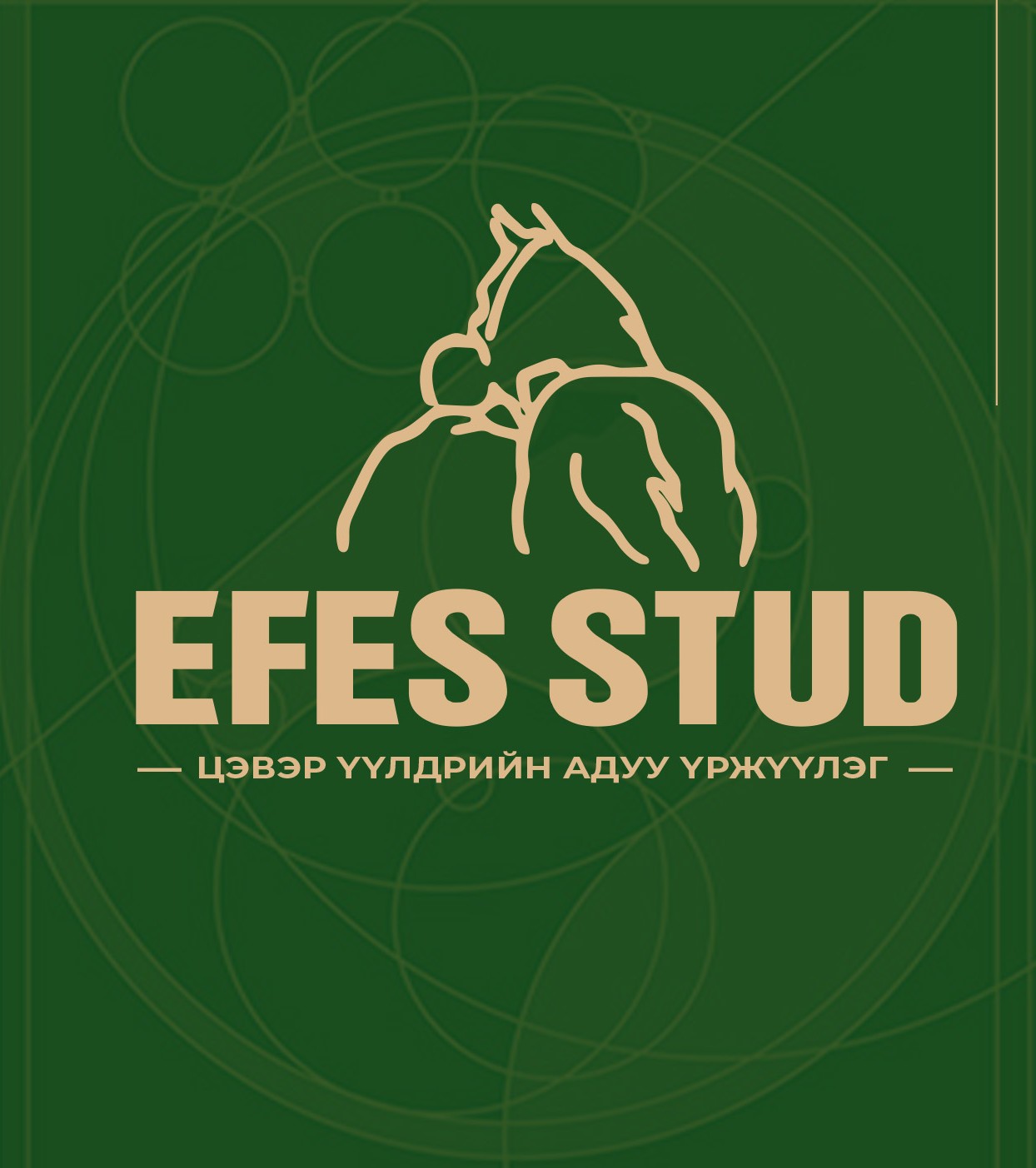 EFES STUD
