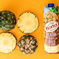 Hortex хан боргоцойн нектар