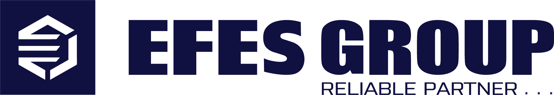 EFES GROUP